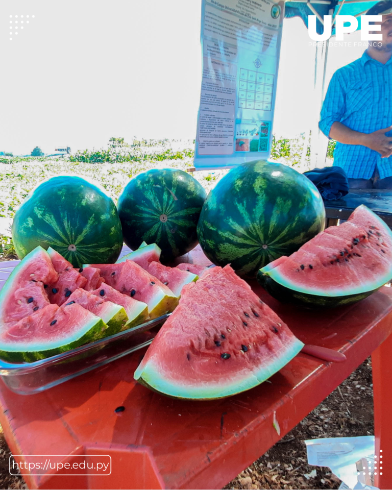 Broche de Oro con las Exposiciones de Campo de los Alumnos de Agronomía: Clausura en el Campo Experimental